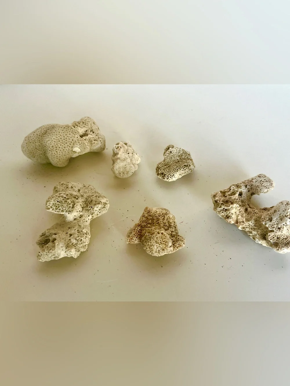 Natural White Coral Rock Décor for Habitats - lot of 6 Pieces